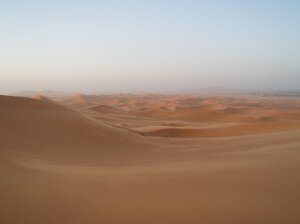 fon desert